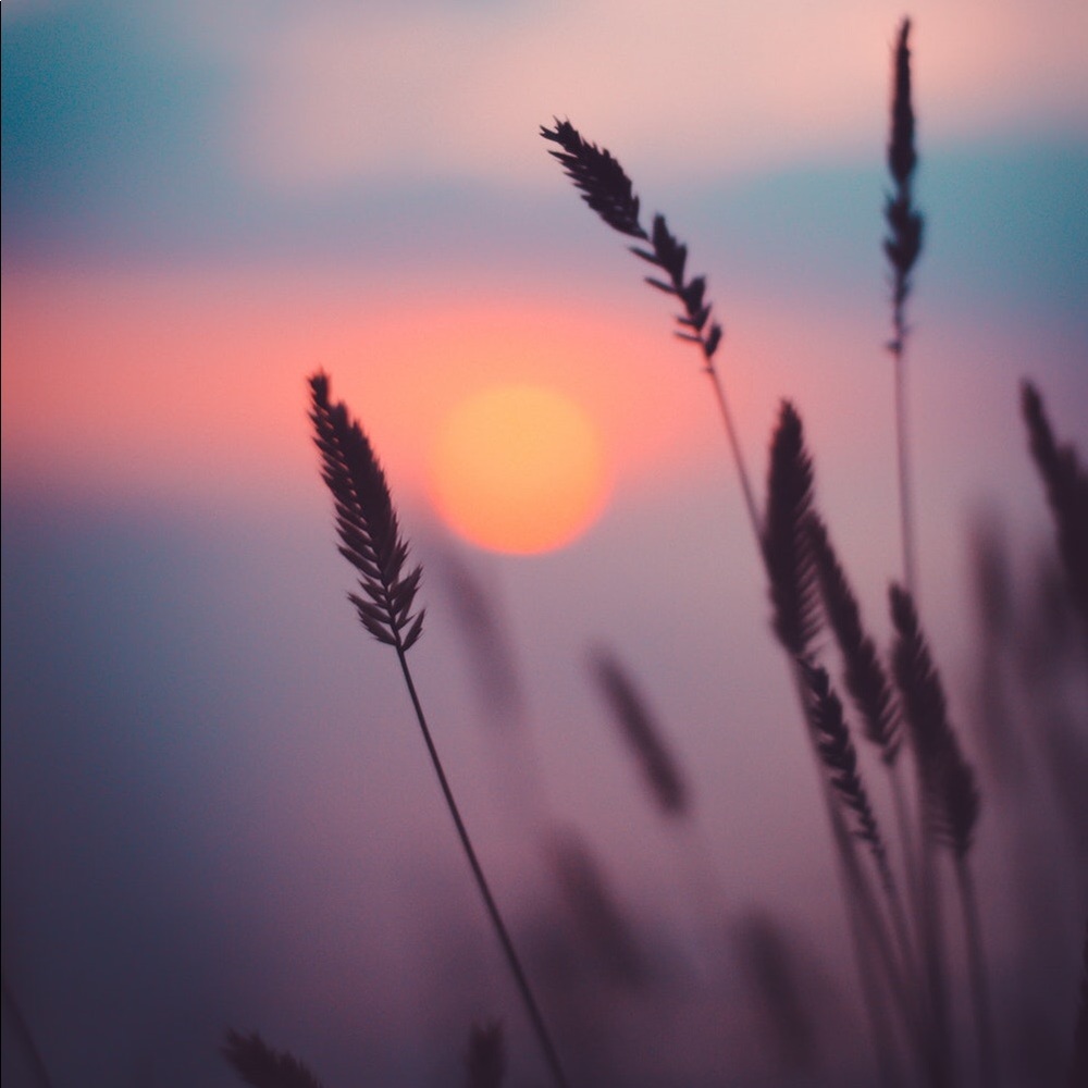 Meet your Posher, Abigail